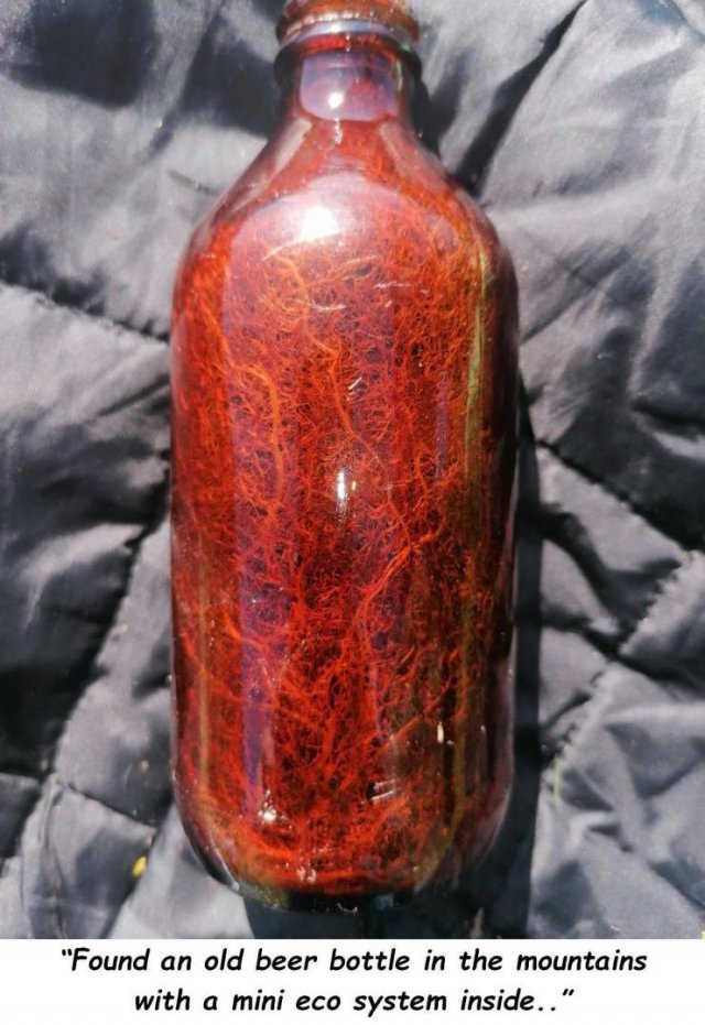 Acid Picdump. Part 1 (100 pics)