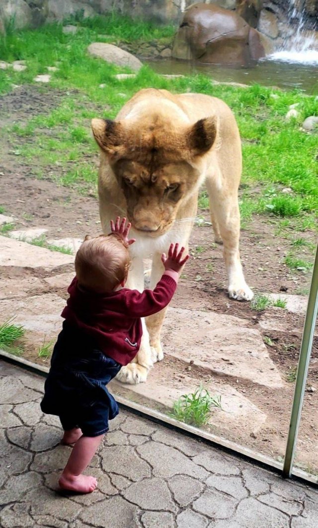 Acid Picdump. Part 1 (100 pics)