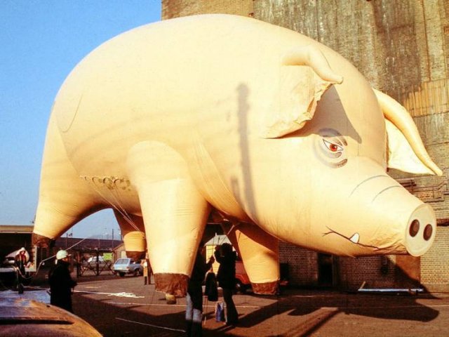 Acid Picdump. Part 1 (100 pics)