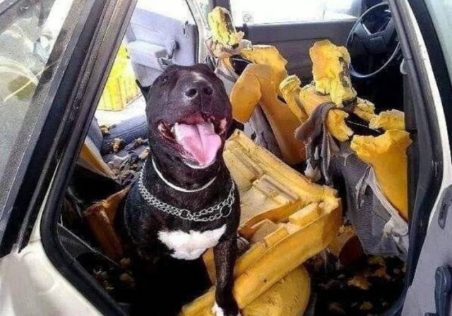 Acid Picdump. Part 1 (100 pics)