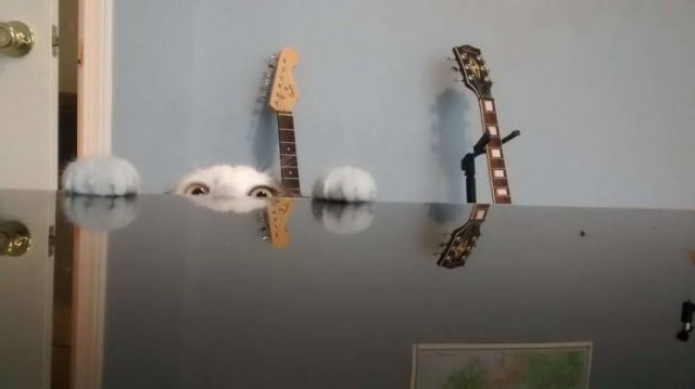 Acid Picdump. Part 1 (100 pics)