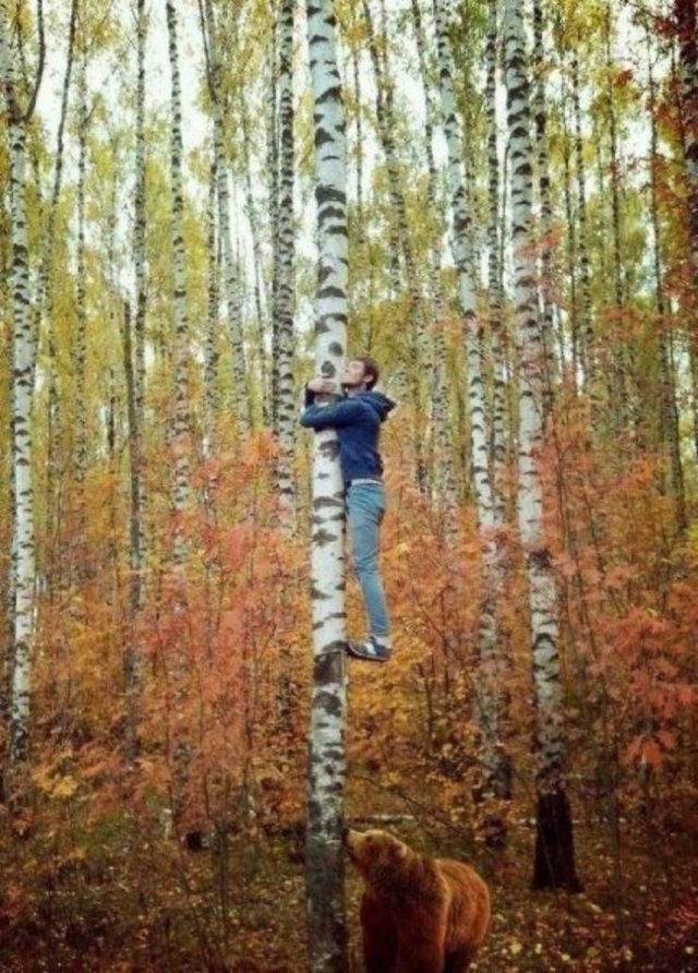 Acid Picdump. Part 1 (100 pics)