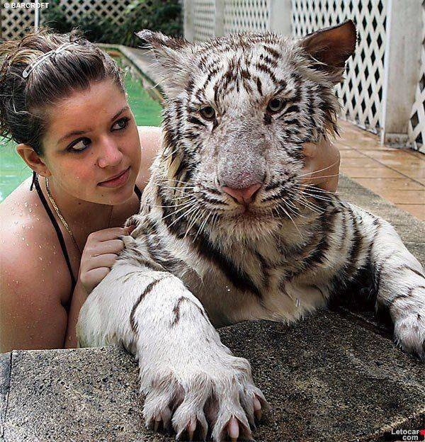 Acid Picdump. Part 1 (100 pics)