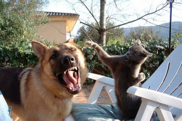 Acid Picdump. Part 1 (100 pics)