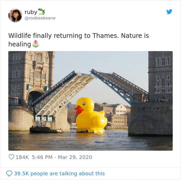 Quarantine And The British Sense Of Humor (29 pics)