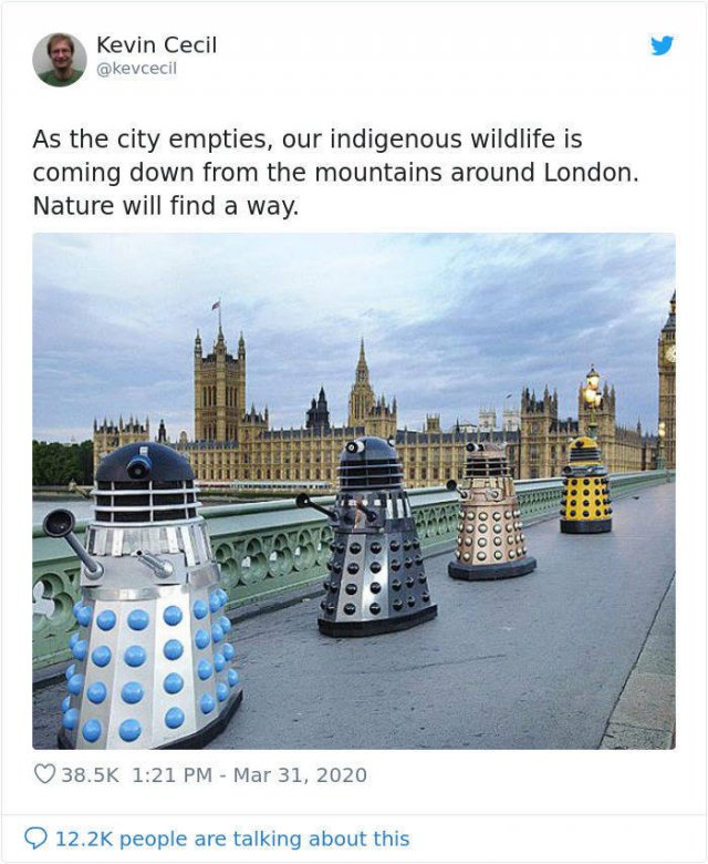 Quarantine And The British Sense Of Humor (29 pics)