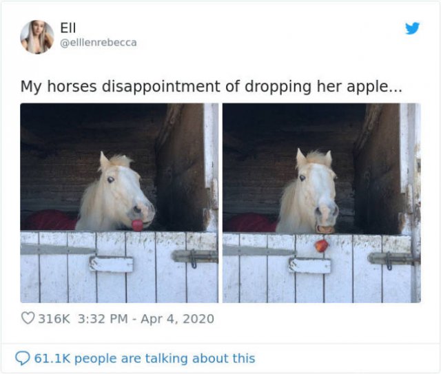Quarantine And The British Sense Of Humor (29 pics)