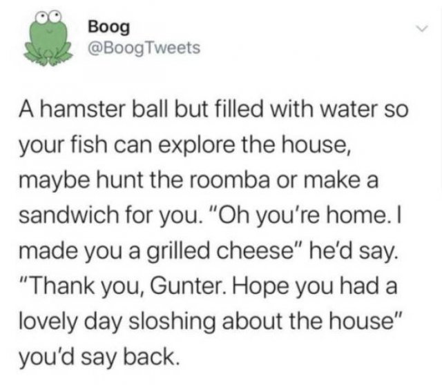 Funny Tweets (33 pics)