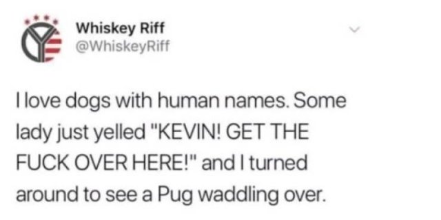 Funny Tweets (33 pics)