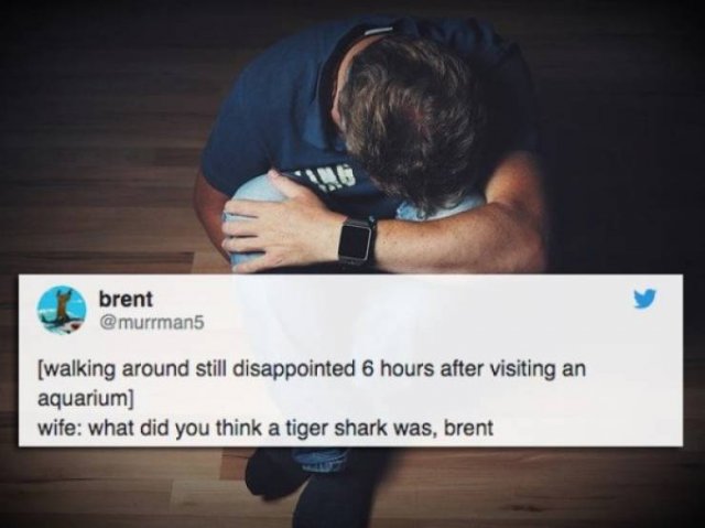 Funny Tweets (33 pics)