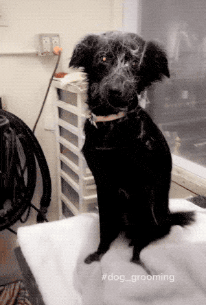 Wins And Fails (15 gifs)
