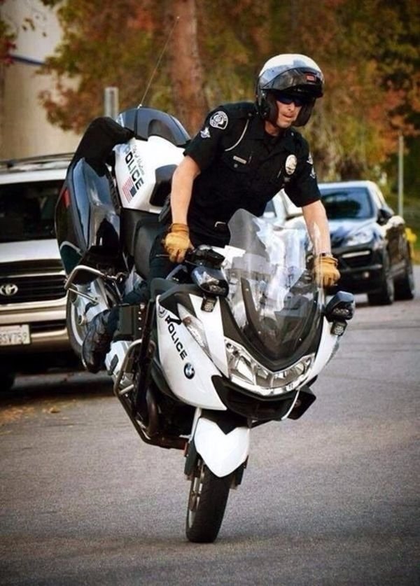 Police Humor (52 pics)