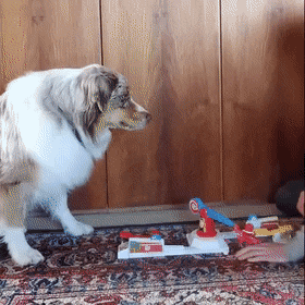 Acid Gifdump, April 16 (25 gifs)