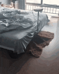 Acid Gifdump, April 16 (25 gifs)