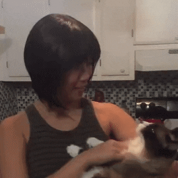 Acid Gifdump, April 16 (25 gifs)