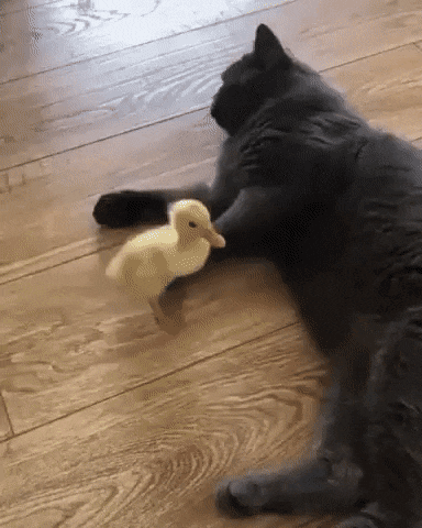 Acid Gifdump, April 17 (25 gifs)