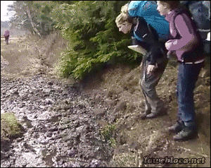 Acid Gifdump, April 17 (25 gifs)