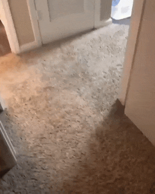 Acid Gifdump, April 17 (25 gifs)