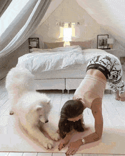 Acid Gifdump, April 17 (25 gifs)