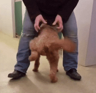 Acid Gifdump, April 17 (25 gifs)