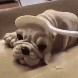 Acid Gifdump, April 17 (25 gifs)