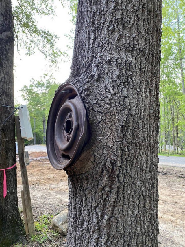 Acid Picdump. Part 2 (100 pics)