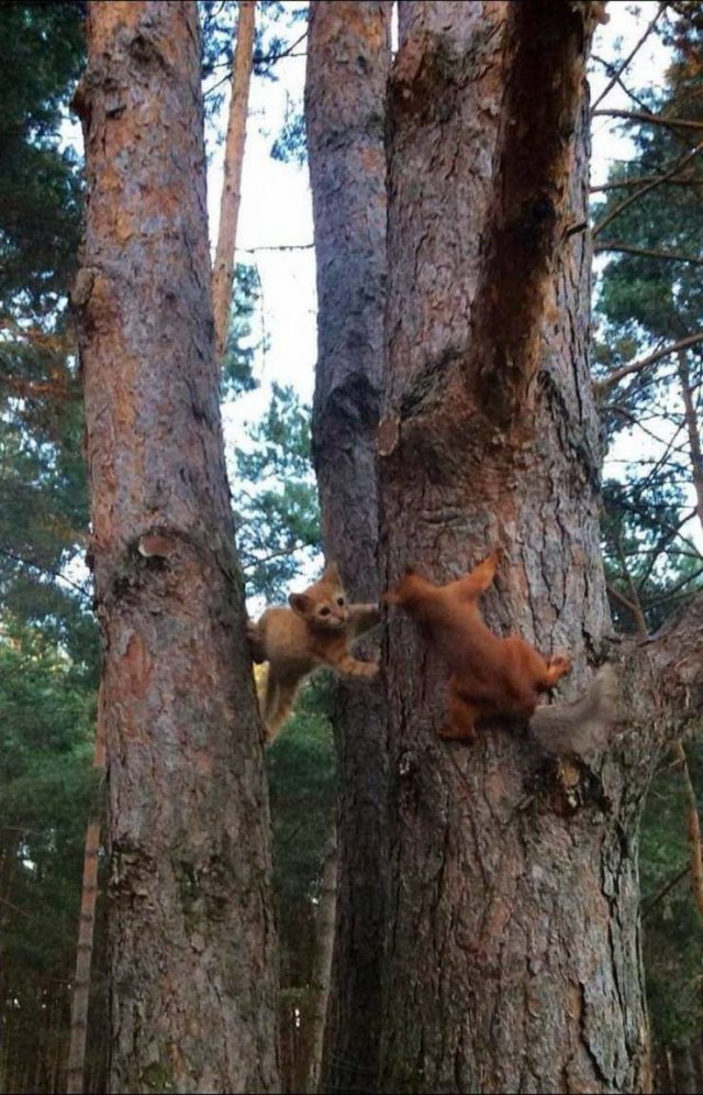 Acid Picdump. Part 2 (100 pics)