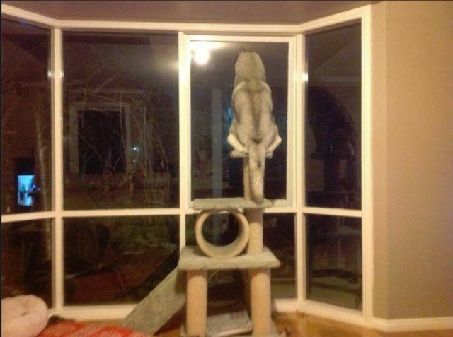 Acid Picdump. Part 2 (100 pics)