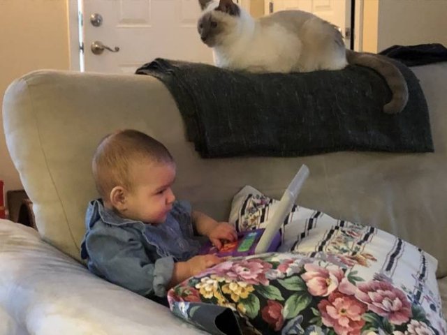Working From Home Having Small Children Around (15 pics)