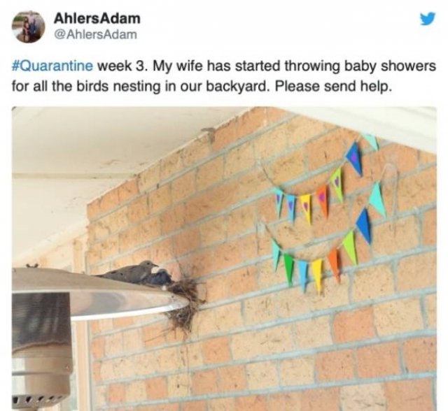 Married Life During Quarantine (33 pics)