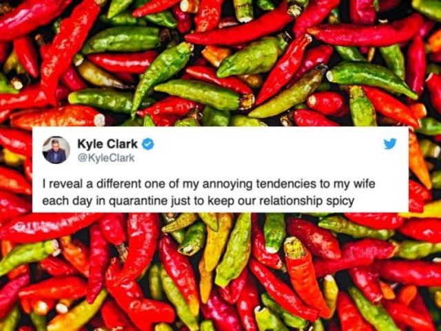 Married Life During Quarantine (33 pics)