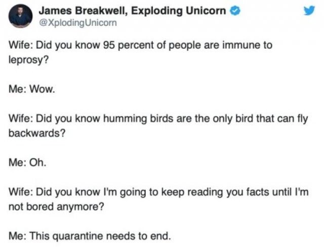 Married Life During Quarantine (33 pics)