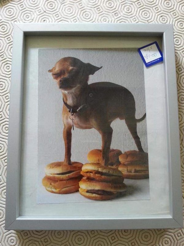 Thrift Shops Treasures (31 pics)