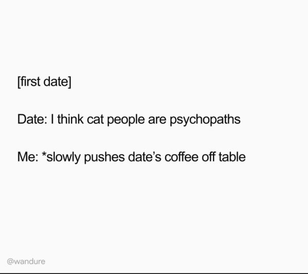 Hilarious Cats (31 pics)