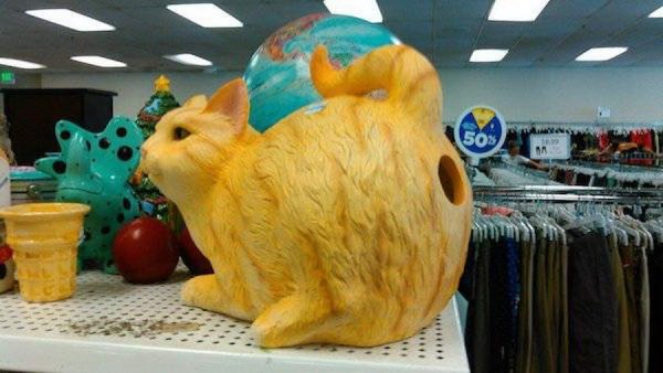 Thrift Shops Treasures (31 pics)