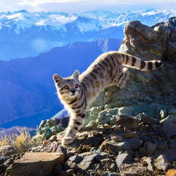Awesome Pictures (56 pics)