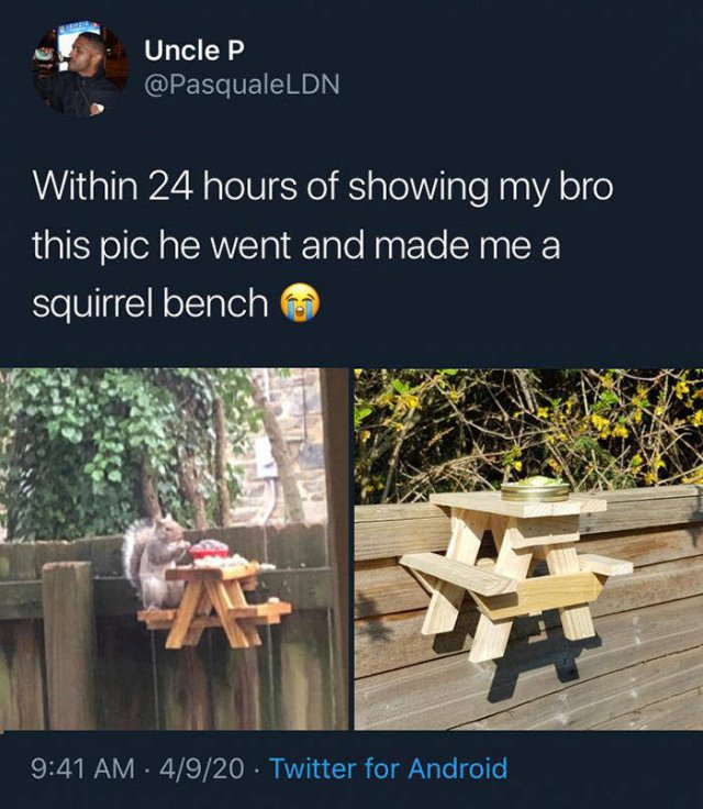 Wholesome Stories (51 pics)