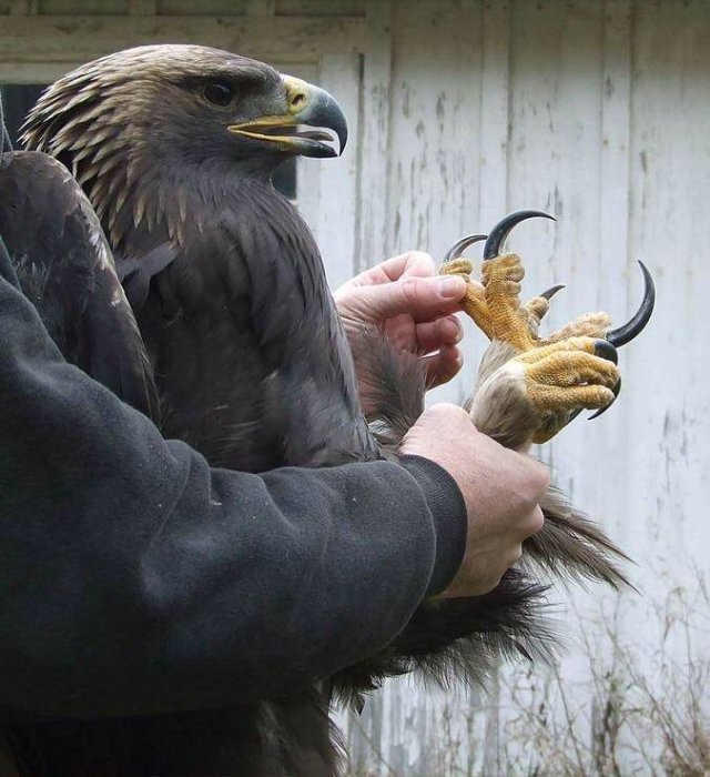 Awesome Pictures (56 pics)