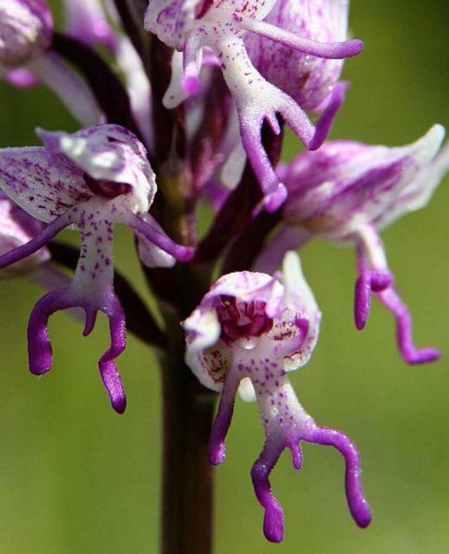 Awesome Pictures (56 pics)