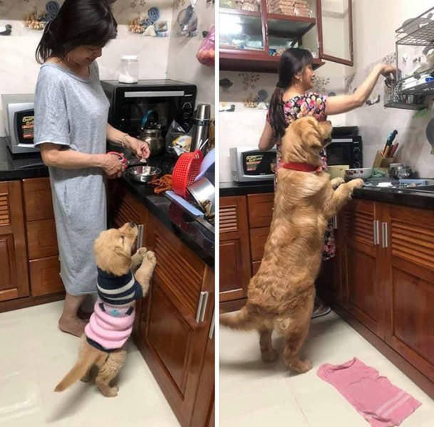 Wholesome Stories (51 pics)
