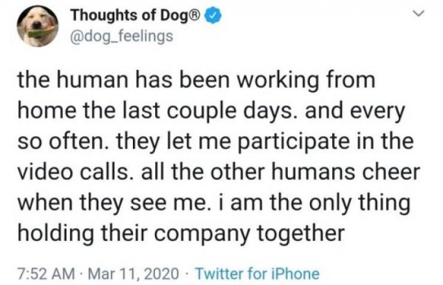 Wholesome Stories (51 pics)