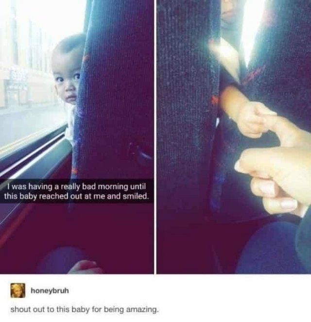 Wholesome Stories (51 pics)