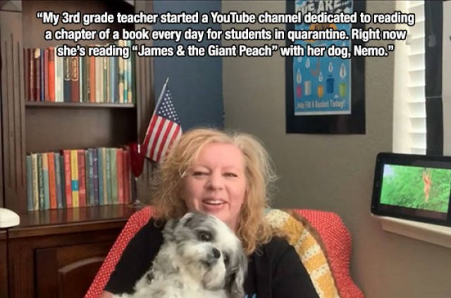 Wholesome Stories (51 pics)