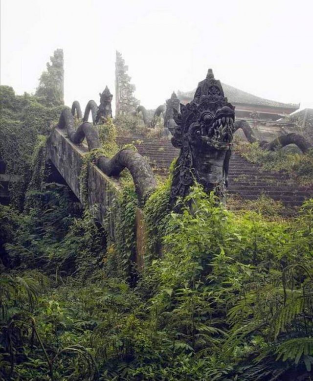Awesome Pictures (56 pics)