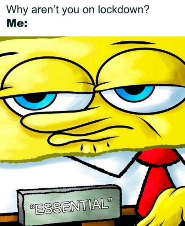 Essential Workers Memes (29 pics)