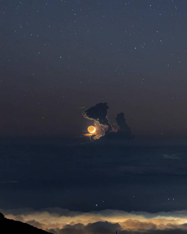 Awesome Pictures (56 pics)