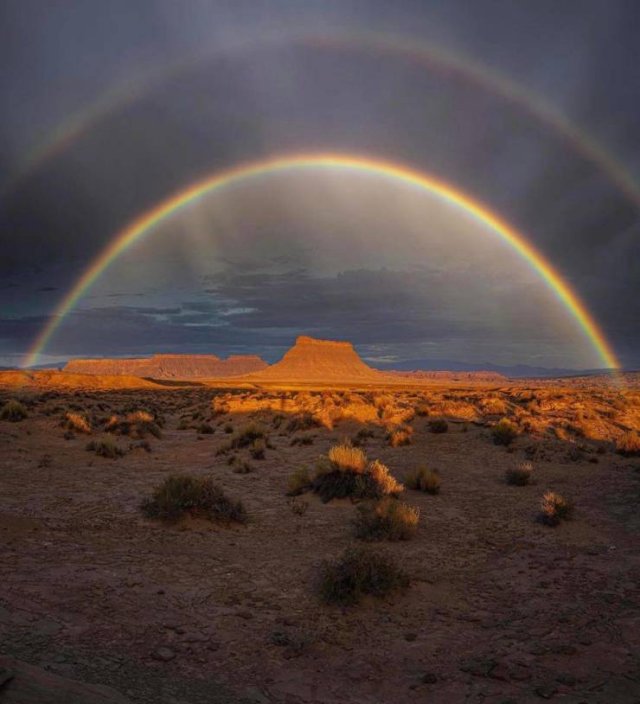 Awesome Pictures (56 pics)
