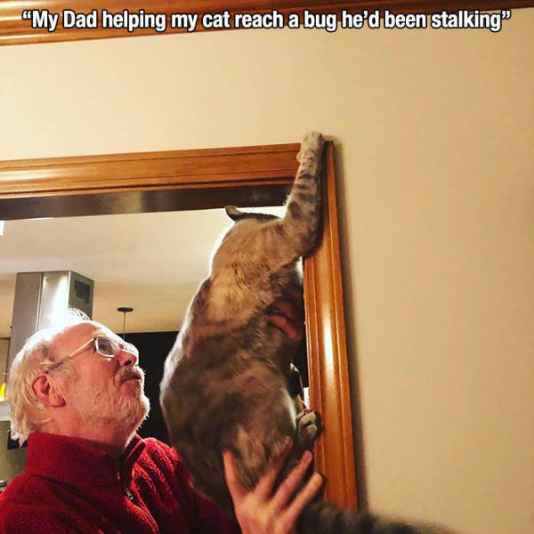 Wholesome Stories (51 pics)