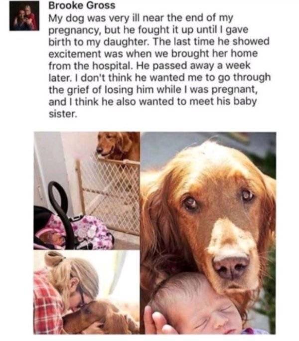 Wholesome Stories (51 pics)