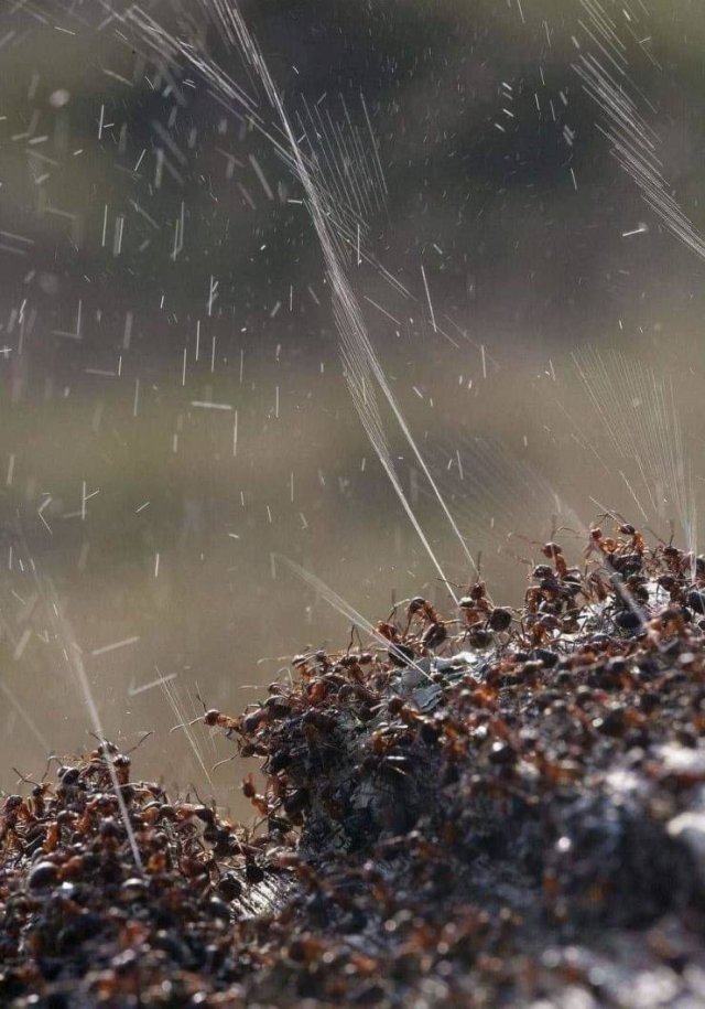 Awesome Pictures (56 pics)